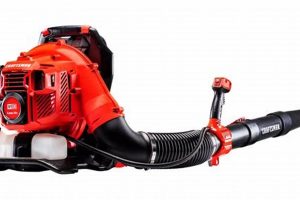 Best Craftsman Backpack Leaf Blower: Reviews & Deals! Safem Fabrication - Precision Engineering & Custom Manufacturing Solutions Best Craftsman Backpack Leaf Blower: Reviews & Deals! | Safem Fabrication - Precision Engineering & Custom Manufacturing Solutions