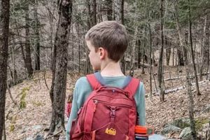 Best Kids Hiking Backpack: Adventure Awaits! Safem Fabrication - Precision Engineering & Custom Manufacturing Solutions Best Kids Hiking Backpack: Adventure Awaits! | Safem Fabrication - Precision Engineering & Custom Manufacturing Solutions