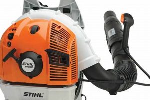 Stihl BR 600 Backpack Blower: Power & Performance Guide Ultimate Backpack Traveler Guide: Tips, Destinations & Budget Hacks Stihl BR 600 Backpack Blower: Power & Performance Guide | Ultimate Backpack Traveler Guide: Tips, Destinations & Budget Hacks