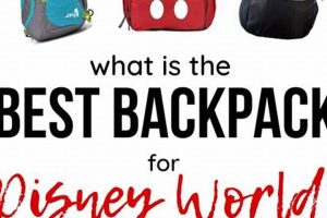 Top Rated: Best Backpack for Disney World Trip! Safem Fabrication - Precision Engineering & Custom Manufacturing Solutions Top Rated: Best Backpack for Disney World Trip! | Safem Fabrication - Precision Engineering & Custom Manufacturing Solutions