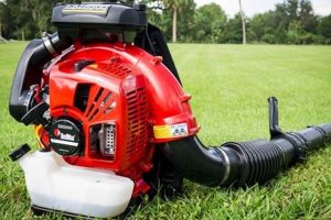 Top-Rated Best Backpack Blowers: [Year] Review &amp; Guide | Ultimate Backpack Traveler Guide: Tips, Destinations & Budget Hacks