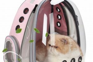 The Ultimate Guide to Backpack Kitty [FAQ + Tips] | Ultimate Backpack Traveler Guide: Tips, Destinations & Budget Hacks