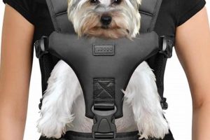 Tiny Adventures: Small Backpack for Dogs On-The-Go Gear Ultimate Backpack Traveler Guide: Tips, Destinations & Budget Hacks Tiny Adventures: Small Backpack for Dogs On-The-Go Gear | Ultimate Backpack Traveler Guide: Tips, Destinations & Budget Hacks
