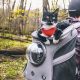 The Best Cat Backpacks for Hiking Adventures! | Ultimate Backpack Traveler Guide: Tips, Destinations & Budget Hacks