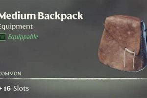 The Ultimate Enshrouded Backpack Guide for Secure Backpacking Ultimate Backpack Traveler Guide: Tips, Destinations & Budget Hacks The Ultimate Enshrouded Backpack Guide for Secure Backpacking | Ultimate Backpack Traveler Guide: Tips, Destinations & Budget Hacks