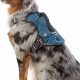 Adventure Ready: Dog Harness & Backpack for Backpacker Dogs! | Ultimate Backpack Traveler Guide: Tips, Destinations & Budget Hacks
