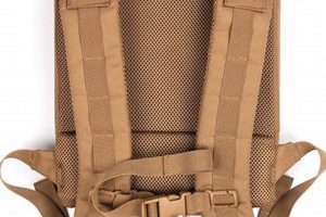 Essential Backpack Plate: Hiking Comfort & Support Ultimate Backpack Traveler Guide: Tips, Destinations & Budget Hacks Essential Backpack Plate: Hiking Comfort & Support | Ultimate Backpack Traveler Guide: Tips, Destinations & Budget Hacks