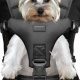 Best Front Backpack Dog Carrier: Your Carry Backpack Guide | Ultimate Backpack Traveler Guide: Tips, Destinations & Budget Hacks