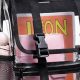 Best Mini Clear Backpack [Year]: Stylish & Secure! | Ultimate Backpack Traveler Guide: Tips, Destinations & Budget Hacks