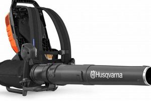 Buying Guide: Largest Backpack Blower on Market [Year] | Ultimate Backpack Traveler Guide: Tips, Destinations & Budget Hacks