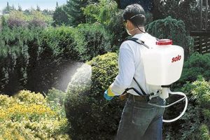 Best Backpack Sprayer: Reviews & Expert Spray Tips! Ultimate Backpack Traveler Guide: Tips, Destinations & Budget Hacks Best Backpack Sprayer: Reviews & Expert Spray Tips! | Ultimate Backpack Traveler Guide: Tips, Destinations & Budget Hacks