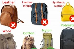 Drying Dilemma: Can You Put a Backpack in the Dryer? + Tips Ultimate Backpack Traveler Guide: Tips, Destinations & Budget Hacks Drying Dilemma: Can You Put a Backpack in the Dryer? + Tips | Ultimate Backpack Traveler Guide: Tips, Destinations & Budget Hacks