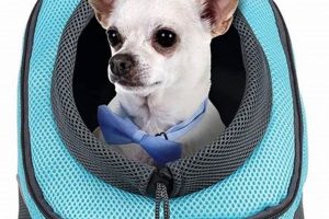 Best Front-Facing Dog Carrier Backpack [Travel Safely!] | Ultimate Backpack Traveler Guide: Tips, Destinations & Budget Hacks