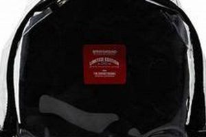 Stylish Boys Clear Backpack: School & Security Ready! Ultimate Backpack Traveler Guide: Tips, Destinations & Budget Hacks Stylish Boys Clear Backpack: School & Security Ready! | Ultimate Backpack Traveler Guide: Tips, Destinations & Budget Hacks