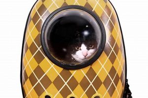 Stylish Argyle Cat Backpack: Travel in Style! Ultimate Backpack Traveler Guide: Tips, Destinations & Budget Hacks Stylish Argyle Cat Backpack: Travel in Style! | Ultimate Backpack Traveler Guide: Tips, Destinations & Budget Hacks