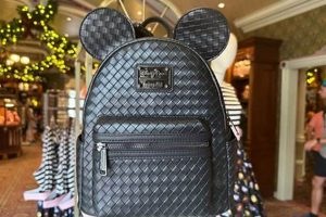 Best Disney Black Backpack [Deals!] | Ultimate Backpack Traveler Guide: Tips, Destinations & Budget Hacks
