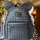 Best Disney Black Backpack [Deals!] | Ultimate Backpack Traveler Guide: Tips, Destinations & Budget Hacks