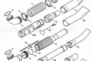 Stihl Backpack Blower Parts: Repair & Maintenance Ultimate Backpack Traveler Guide: Tips, Destinations & Budget Hacks Stihl Backpack Blower Parts: Repair & Maintenance | Ultimate Backpack Traveler Guide: Tips, Destinations & Budget Hacks