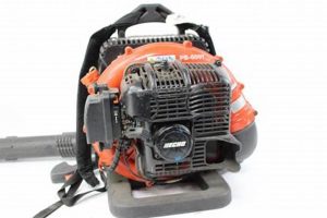 Echo PB-500T: Best Backpack Leaf Blower for You? [Review] | Ultimate Backpack Traveler Guide: Tips, Destinations & Budget Hacks