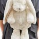 Cute & Cuddly Bunny Rabbit Backpack: Perfect for Little Backpacker | Ultimate Backpack Traveler Guide: Tips, Destinations & Budget Hacks