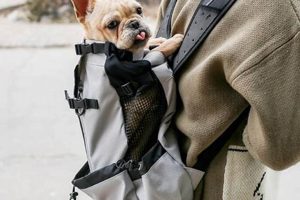 Shop Best Dog Carrier Backpack French Bulldog Today! Ultimate Backpack Traveler Guide: Tips, Destinations & Budget Hacks Shop Best Dog Carrier Backpack French Bulldog Today! | Ultimate Backpack Traveler Guide: Tips, Destinations & Budget Hacks