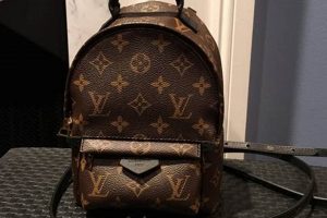 Own a Mini Icon: Louis Vuitton Palm Springs Backpack Mini Guide Ultimate Backpack Traveler Guide: Tips, Destinations & Budget Hacks Own a Mini Icon: Louis Vuitton Palm Springs Backpack Mini Guide | Ultimate Backpack Traveler Guide: Tips, Destinations & Budget Hacks