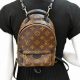 Buy Your Mini: Louis Vuitton Palm Springs Backpack [Deals!] | Ultimate Backpack Traveler Guide: Tips, Destinations & Budget Hacks