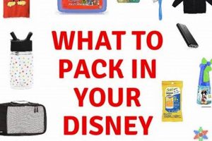 Disney Backpack Rules: Maximize Magic, Minimize Hassle Ultimate Backpack Traveler Guide: Tips, Destinations & Budget Hacks Disney Backpack Rules: Maximize Magic, Minimize Hassle | Ultimate Backpack Traveler Guide: Tips, Destinations & Budget Hacks