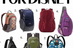Top Rated: Best Backpacks for Disney Trips [2024 Guide] | Ultimate Backpack Traveler Guide: Tips, Destinations & Budget Hacks