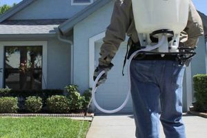 Best Commercial Backpack Sprayers: Buying Guide & Uses Ultimate Backpack Traveler Guide: Tips, Destinations & Budget Hacks Best Commercial Backpack Sprayers: Buying Guide & Uses | Ultimate Backpack Traveler Guide: Tips, Destinations & Budget Hacks
