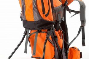 Top-Rated Best Baby Backpack Carrier [2024 Guide] | Ultimate Backpack Traveler Guide: Tips, Destinations & Budget Hacks