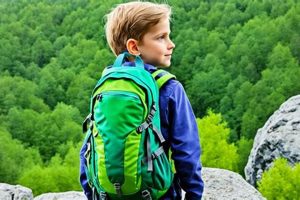 Best Childs Hiking Backpack [Guide] | Hiking Fun | Ultimate Backpack Traveler Guide: Tips, Destinations & Budget Hacks