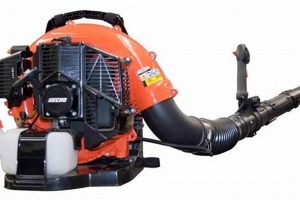 Echo PB-580T Backpack Blower: Power & Performance Ultimate Backpack Traveler Guide: Tips, Destinations & Budget Hacks Echo PB-580T Backpack Blower: Power & Performance | Ultimate Backpack Traveler Guide: Tips, Destinations & Budget Hacks