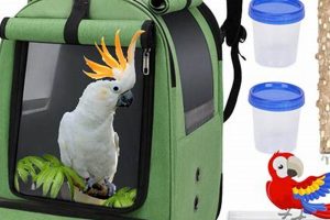 Best Parrot Backpack Carrier: Travel Safely! Ultimate Backpack Traveler Guide: Tips, Destinations & Budget Hacks Best Parrot Backpack Carrier: Travel Safely! | Ultimate Backpack Traveler Guide: Tips, Destinations & Budget Hacks