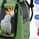 Best Parrot Backpack Carrier: Travel Safely! | Ultimate Backpack Traveler Guide: Tips, Destinations & Budget Hacks