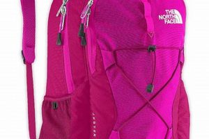 Best Women's Jester Backpack: Style & Comfort! Ultimate Backpack Traveler Guide: Tips, Destinations & Budget Hacks Best Women's Jester Backpack: Style & Comfort! | Ultimate Backpack Traveler Guide: Tips, Destinations & Budget Hacks