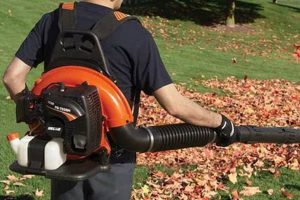 Echo 755: Power Up Your Yard with This Backpack Blower Ultimate Backpack Traveler Guide: Tips, Destinations & Budget Hacks Echo 755: Power Up Your Yard with This Backpack Blower | Ultimate Backpack Traveler Guide: Tips, Destinations & Budget Hacks