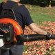 Echo 755: Power Up Your Yard with This Backpack Blower | Ultimate Backpack Traveler Guide: Tips, Destinations & Budget Hacks