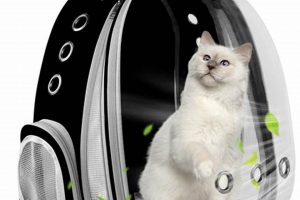 Carry Your Cat: Best Bubble Backpacks for Cats! Ultimate Backpack Traveler Guide: Tips, Destinations & Budget Hacks Carry Your Cat: Best Bubble Backpacks for Cats! | Ultimate Backpack Traveler Guide: Tips, Destinations & Budget Hacks