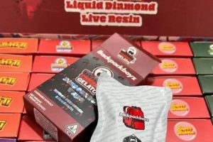 Backpack Boyz Disposable Review: Legit or Hype? [Year] | Ultimate Backpack Traveler Guide: Tips, Destinations & Budget Hacks