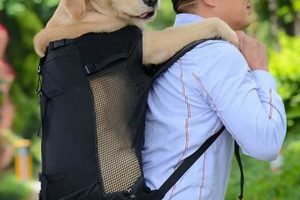Best Dog Backpack Carrier for Large Dogs: Your Carry Companion Ultimate Backpack Traveler Guide: Tips, Destinations & Budget Hacks Best Dog Backpack Carrier for Large Dogs: Your Carry Companion | Ultimate Backpack Traveler Guide: Tips, Destinations & Budget Hacks