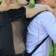 Best Dog Backpack Carrier for Large Dogs: Your Carry Companion | Ultimate Backpack Traveler Guide: Tips, Destinations & Budget Hacks