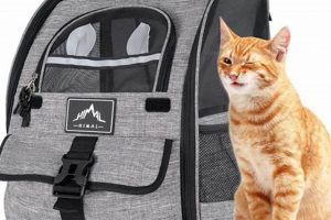 Best Cat Backpack for Hiking: Adventure Awaits! Ultimate Backpack Traveler Guide: Tips, Destinations & Budget Hacks Best Cat Backpack for Hiking: Adventure Awaits! | Ultimate Backpack Traveler Guide: Tips, Destinations & Budget Hacks