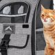 Best Cat Backpack for Hiking: Adventure Awaits! | Ultimate Backpack Traveler Guide: Tips, Destinations & Budget Hacks