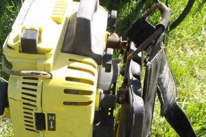 John Deere Backpack Blower: Reviews & Best Models! Ultimate Backpack Traveler Guide: Tips, Destinations & Budget Hacks John Deere Backpack Blower: Reviews & Best Models! | Ultimate Backpack Traveler Guide: Tips, Destinations & Budget Hacks