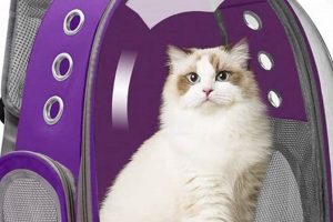 The Ultimate Pet Backpack Guide For Happy Hikes Ultimate Backpack Traveler Guide: Tips, Destinations & Budget Hacks The Ultimate Pet Backpack Guide For Happy Hikes | Ultimate Backpack Traveler Guide: Tips, Destinations & Budget Hacks