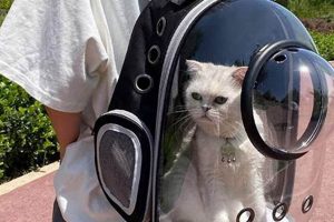 Best Cat Carrier Backpack Bubble: Travel in Style! Ultimate Backpack Traveler Guide: Tips, Destinations & Budget Hacks Best Cat Carrier Backpack Bubble: Travel in Style! | Ultimate Backpack Traveler Guide: Tips, Destinations & Budget Hacks