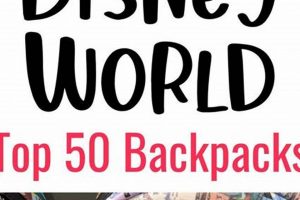 Top-Rated: Best Disney World Backpack [Guide & Tips] | Ultimate Backpack Traveler Guide: Tips, Destinations & Budget Hacks