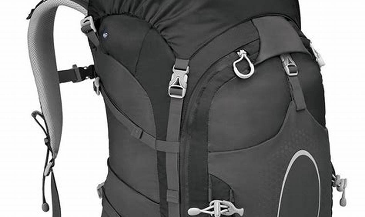 backpack north face borealis The North Face Women's Borealis Backpack Mushroom Grey/Tawny Quartz main image 1
