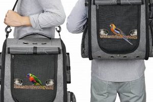 Best Bird Carrier Backpack: Safe & Comfy! Ultimate Backpack Traveler Guide: Tips, Destinations & Budget Hacks Best Bird Carrier Backpack: Safe & Comfy! | Ultimate Backpack Traveler Guide: Tips, Destinations & Budget Hacks